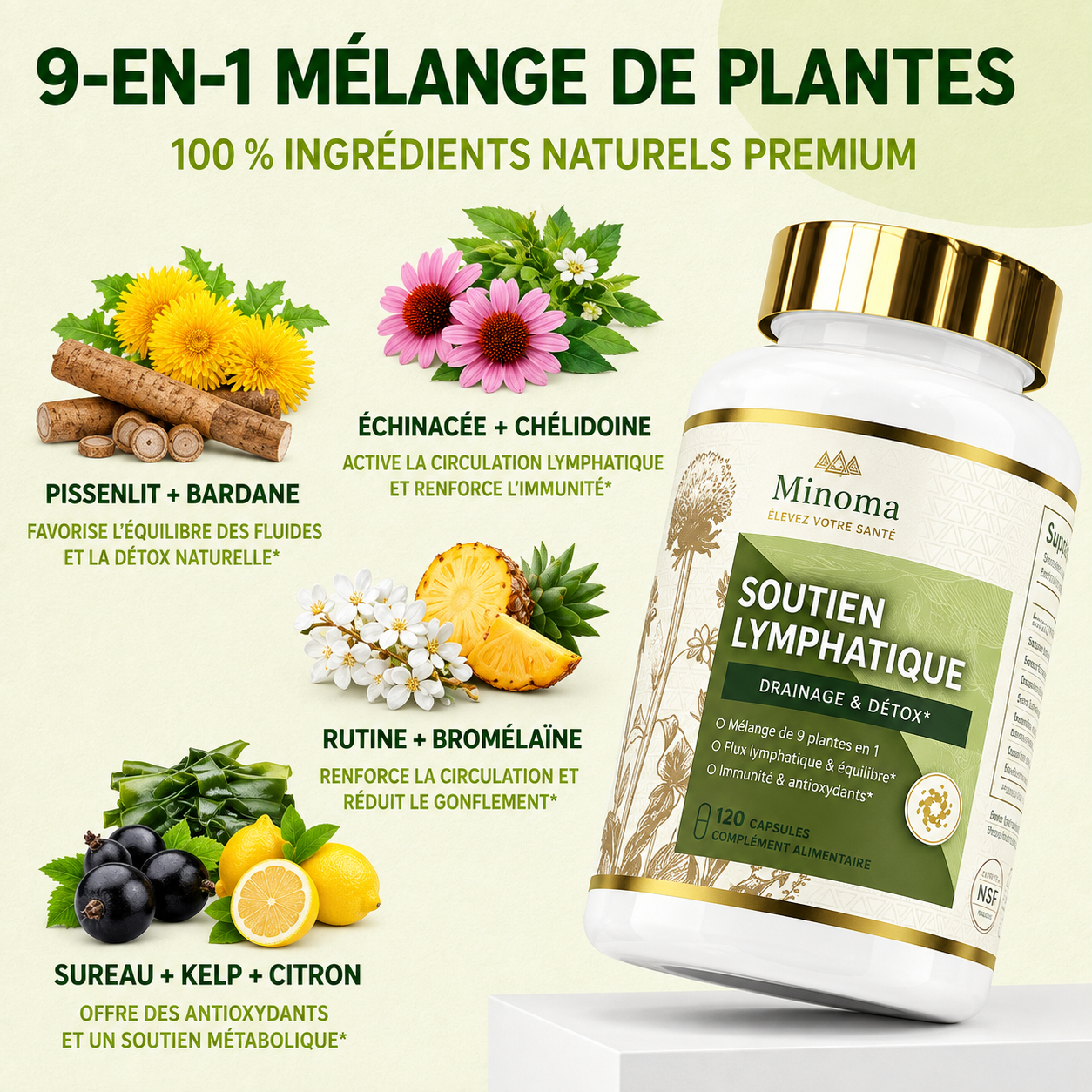 Minoma™ Soutien Lymphatique