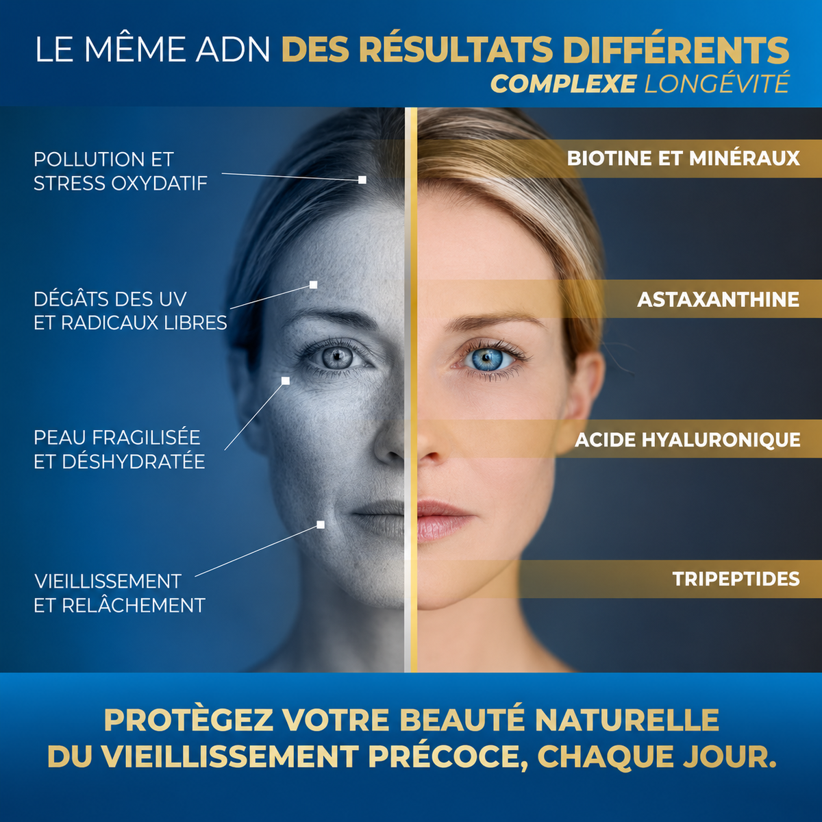 L’Acide Hyaluronique