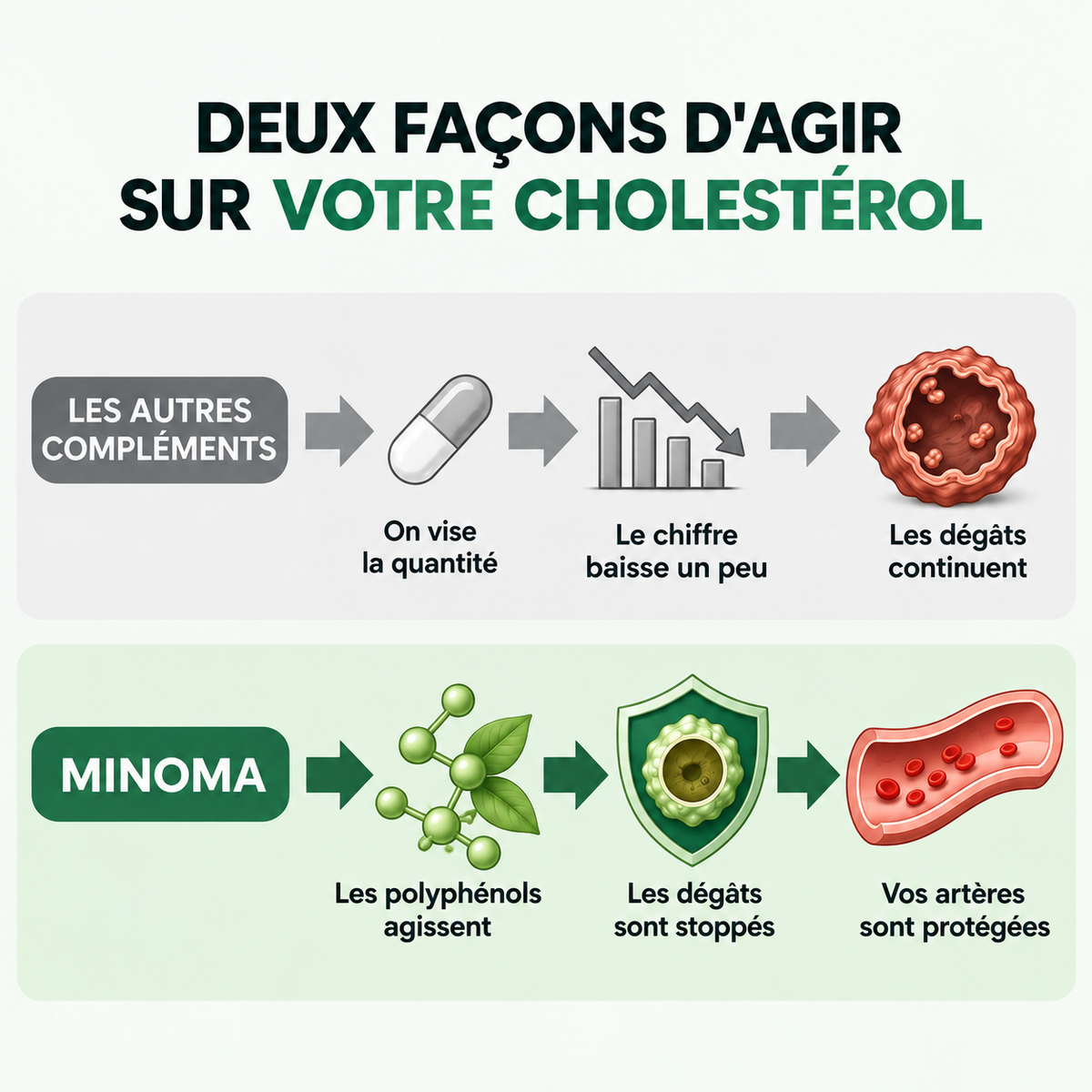 Gélules d'Amla Superfruit