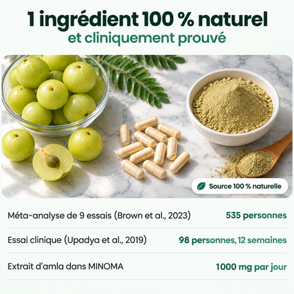 Gélules d'Amla Superfruit
